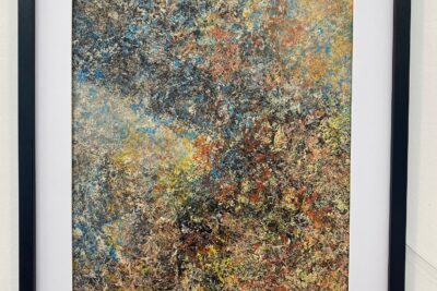 Agrandir l'image 8 sur 14, fenêtre modale