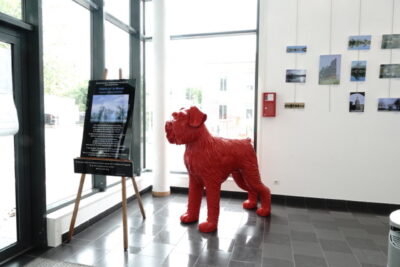 Agrandir l'image 6 sur 9, fenêtre modale