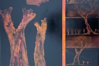 Agrandir l'image 1 sur 15, fenêtre modale