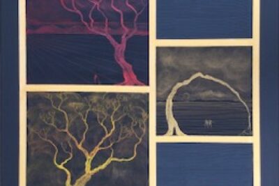 Agrandir l'image 11 sur 15, fenêtre modale