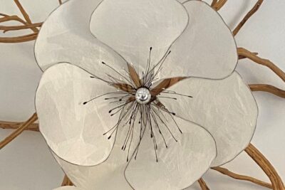 Agrandir l'image 4 sur 7, fenêtre modale