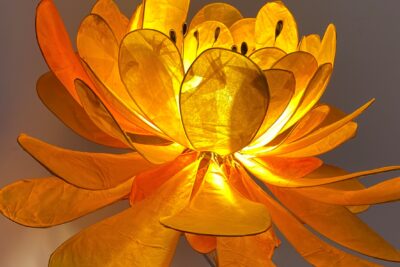 Agrandir l'image 2 sur 7, fenêtre modale