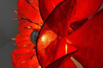 Agrandir l'image 3 sur 7, fenêtre modale