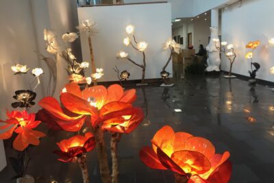 Agrandir l'image 7 sur 7, fenêtre modale