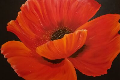 Agrandir l'image 1 sur 4, fenêtre modale