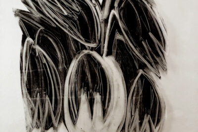 Agrandir l'image 4 sur 8, fenêtre modale