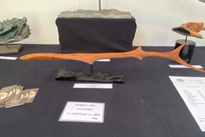 Agrandir l'image 22 sur 34, fenêtre modale