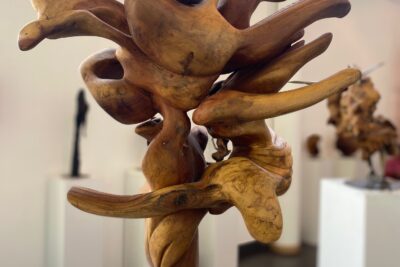 Agrandir l'image 30 sur 34, fenêtre modale