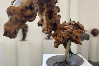 Agrandir l'image 31 sur 34, fenêtre modale