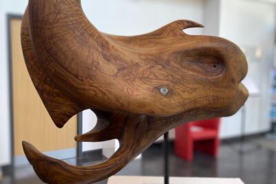 Agrandir l'image 33 sur 34, fenêtre modale