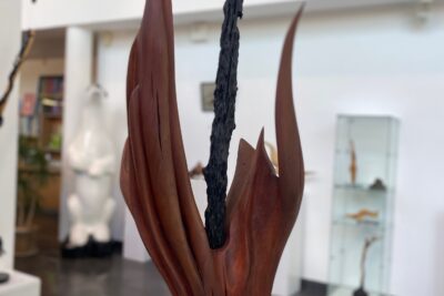 Agrandir l'image 34 sur 34, fenêtre modale