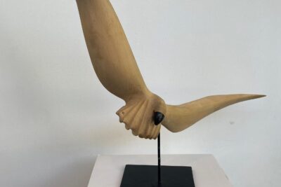 Agrandir l'image 3 sur 34, fenêtre modale