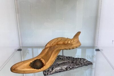 Agrandir l'image 5 sur 34, fenêtre modale