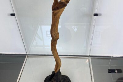 Agrandir l'image 6 sur 34, fenêtre modale