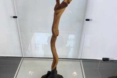 Agrandir l'image 7 sur 34, fenêtre modale