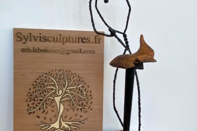 Agrandir l'image 10 sur 34, fenêtre modale