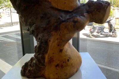 Agrandir l'image 12 sur 34, fenêtre modale