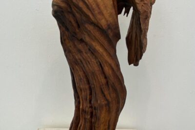 Agrandir l'image 15 sur 34, fenêtre modale