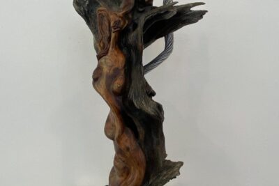 Agrandir l'image 16 sur 34, fenêtre modale