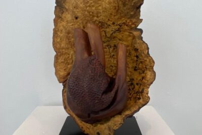 Agrandir l'image 17 sur 34, fenêtre modale