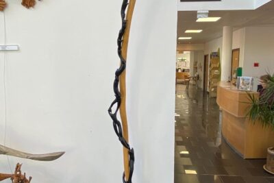 Agrandir l'image 24 sur 34, fenêtre modale