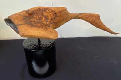 Agrandir l'image 25 sur 34, fenêtre modale