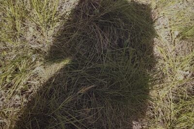 Agrandir l'image 7 sur 15, fenêtre modale