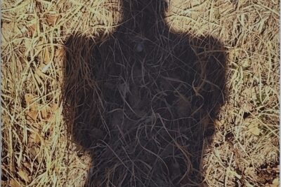 Agrandir l'image 8 sur 15, fenêtre modale