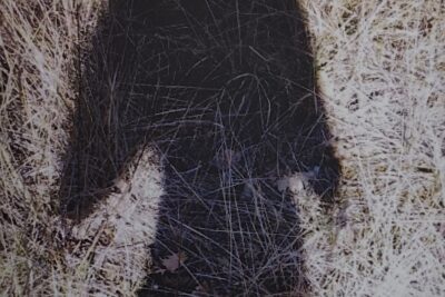 Agrandir l'image 9 sur 15, fenêtre modale