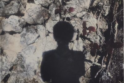 Agrandir l'image 14 sur 15, fenêtre modale