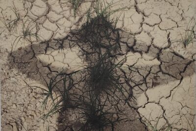 Agrandir l'image 15 sur 15, fenêtre modale