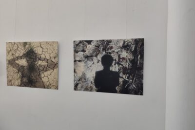 Agrandir l'image 2 sur 15, fenêtre modale