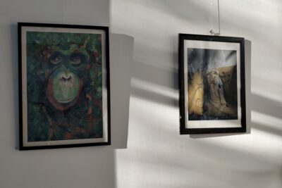 Agrandir l'image 6 sur 12, fenêtre modale