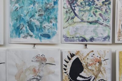 Agrandir l'image 8 sur 12, fenêtre modale