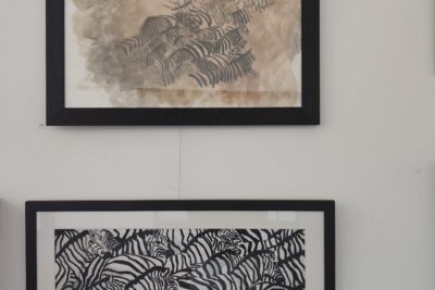 Agrandir l'image 9 sur 12, fenêtre modale