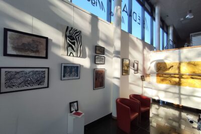 Agrandir l'image 1 sur 12, fenêtre modale