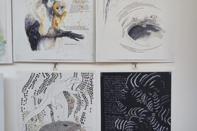 Agrandir l'image 2 sur 12, fenêtre modale