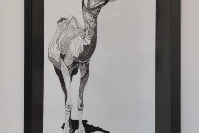 Agrandir l'image 3 sur 12, fenêtre modale